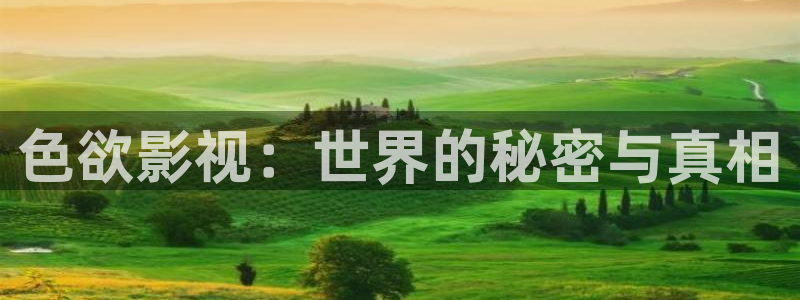 藍莓葉黃素片好不好
