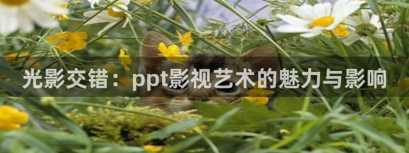 在線無(wú)限看免費(fèi)藍(lán)莓視頻：光影交錯(cuò)：ppt影視藝術(shù)的魅力與影響